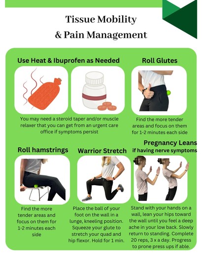 Low Back Pain Answers