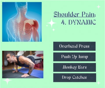 shoulder pain 4. dynamic