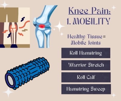 knee pain 1. mobility